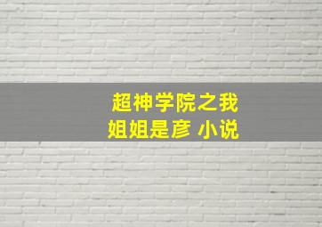 超神学院之我姐姐是彦 小说